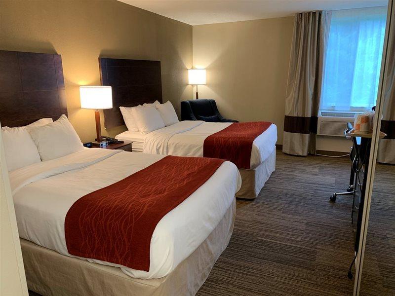 Comfort Inn & Suites East Hartford - Hartford Buitenkant foto