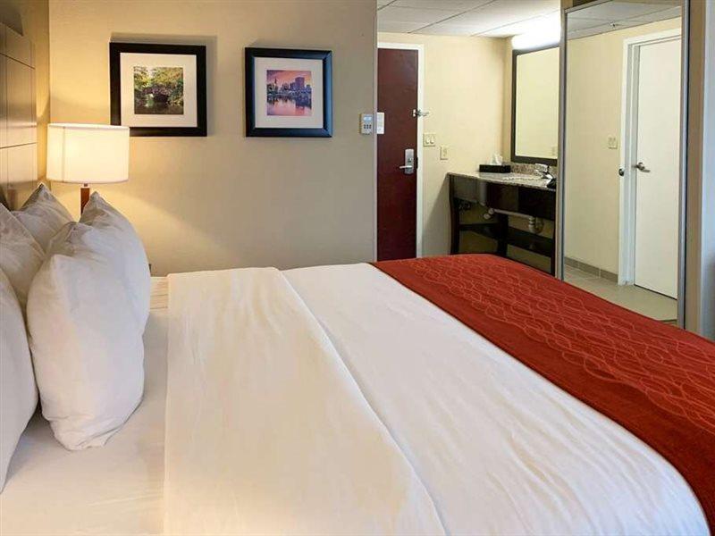 Comfort Inn & Suites East Hartford - Hartford Buitenkant foto
