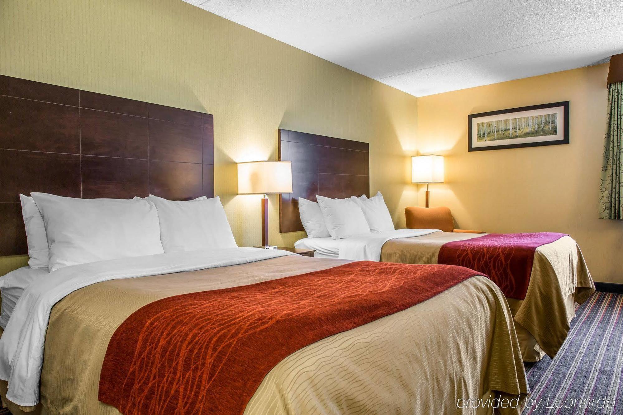 Comfort Inn & Suites East Hartford - Hartford Buitenkant foto